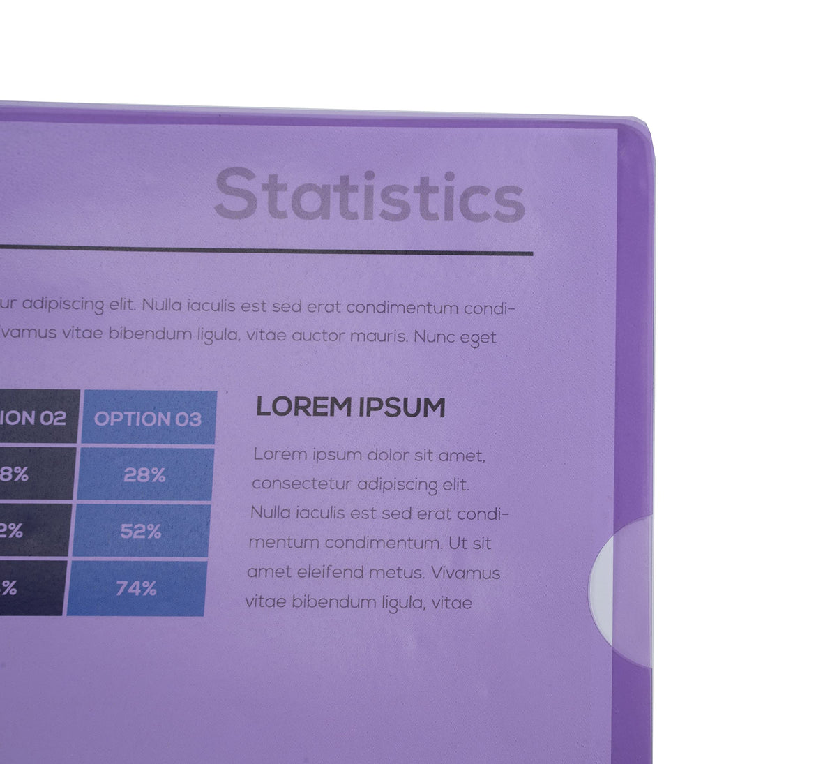 10 Cut-Flush A4 PVC Folders 0.13 mm Smooth Purple (Pack of 10)