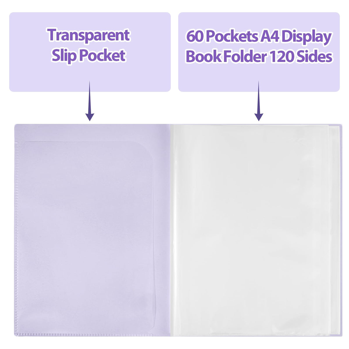 A4 Display Folder 60 Pockets — Purple, Durable PP