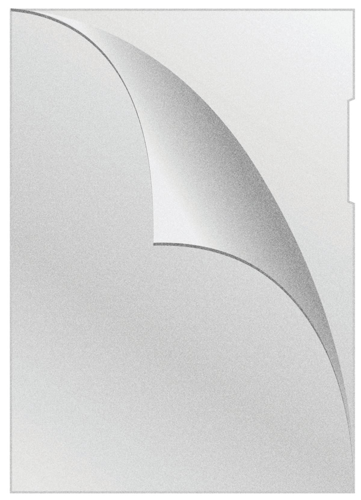 Document Sleeves Type L A4 Grained Extended, 75µm, Pack of 50, Transparent