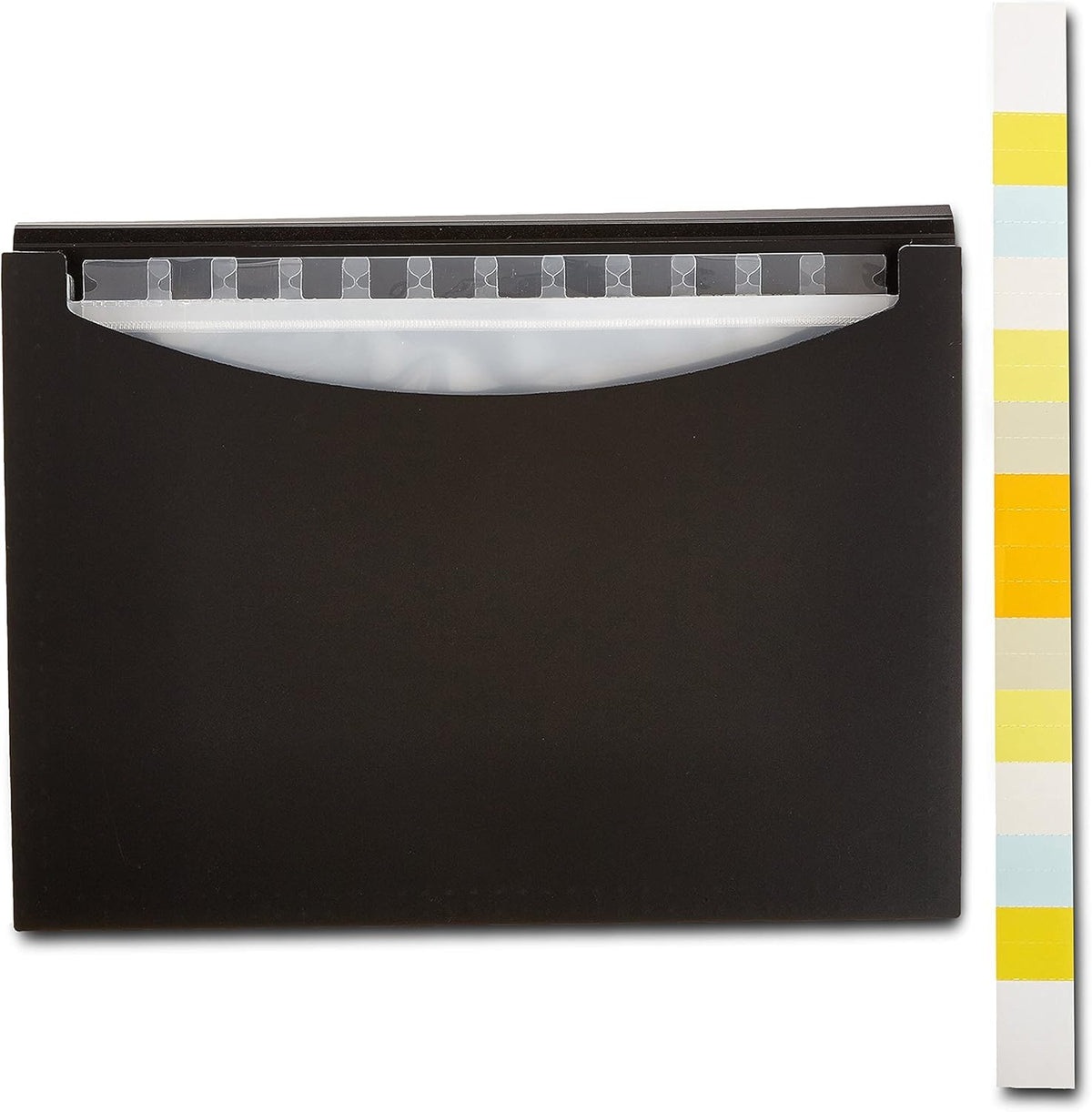 Expanding A4 File Folder, 13-Pocket (Black)