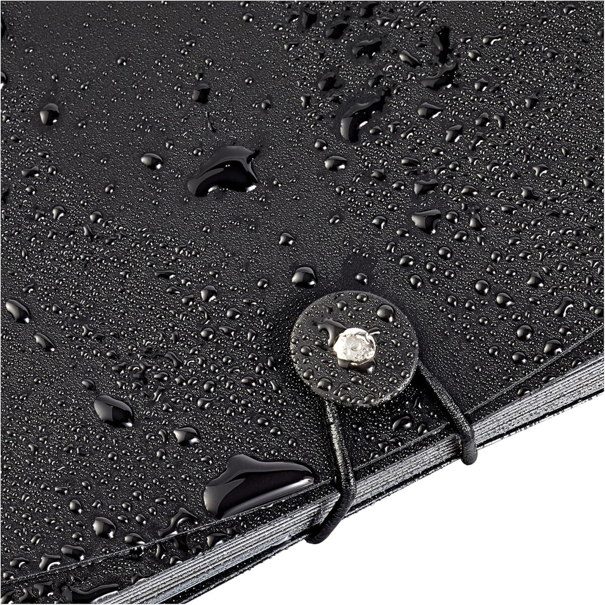 Expanding A4 File Folder, 13-Pocket (Black)