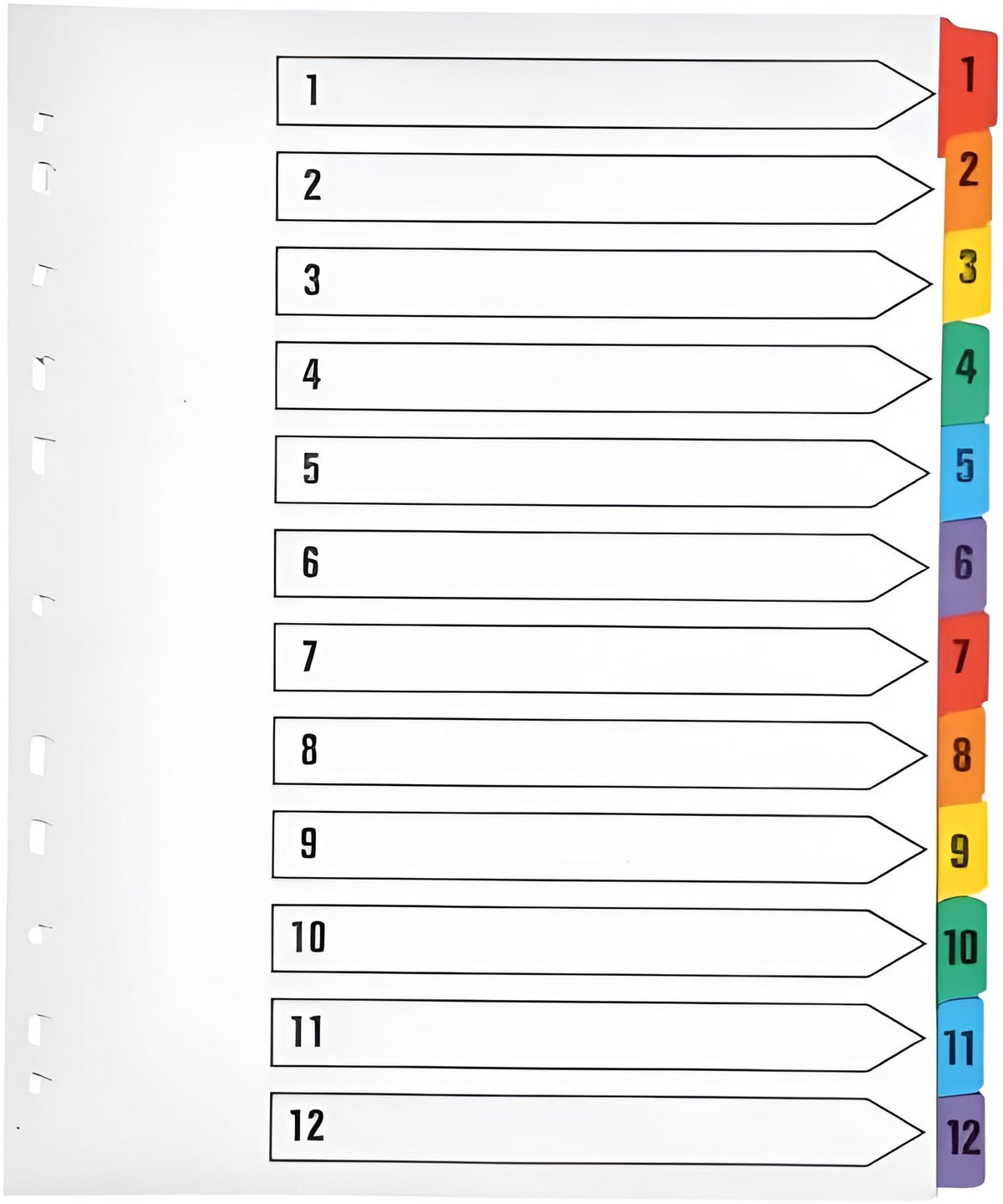 Extra Wide A4+ File Dividers — Numbered 1–12, Multicolour Tabs