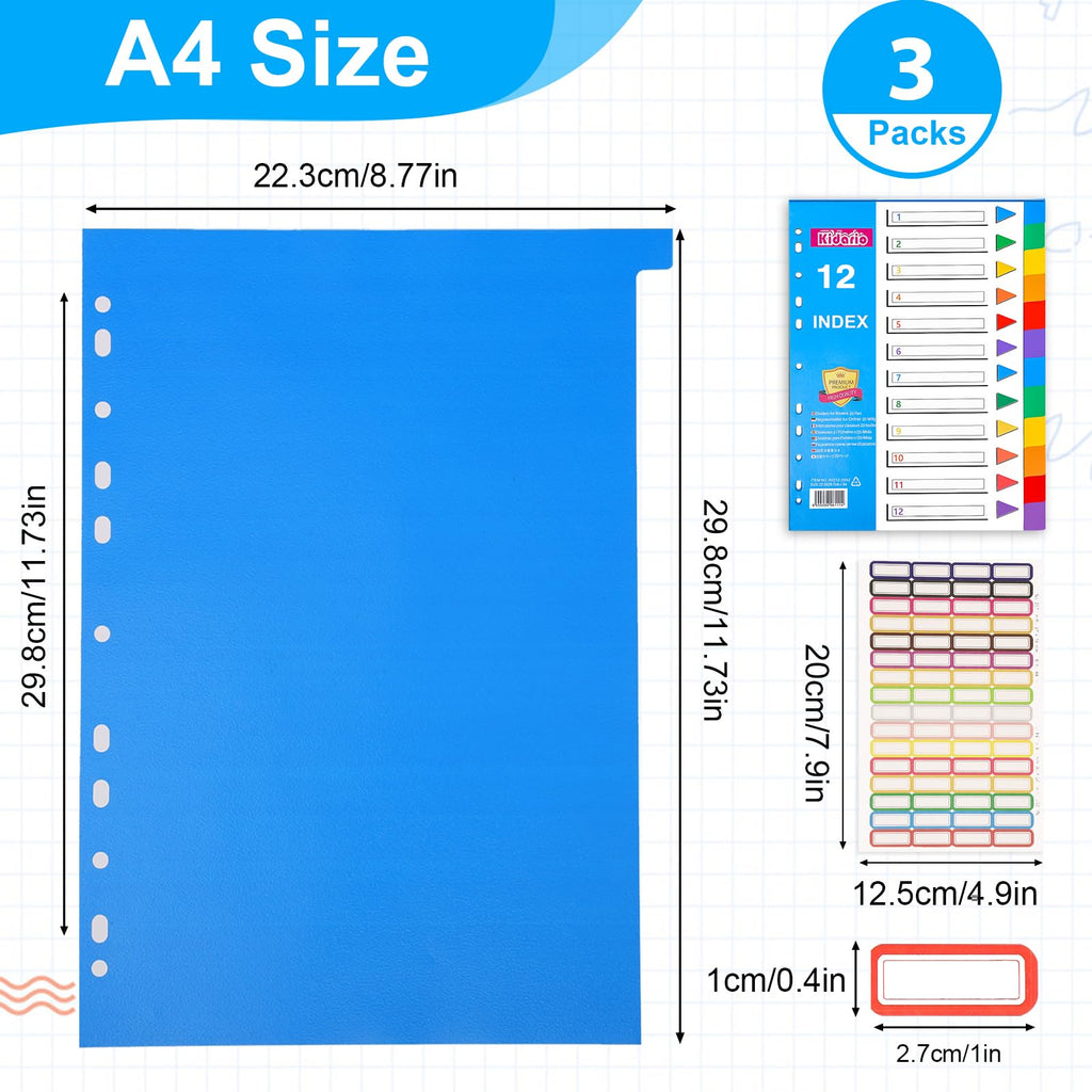 File Dividers A4 3-Pack 12-Part Coloured