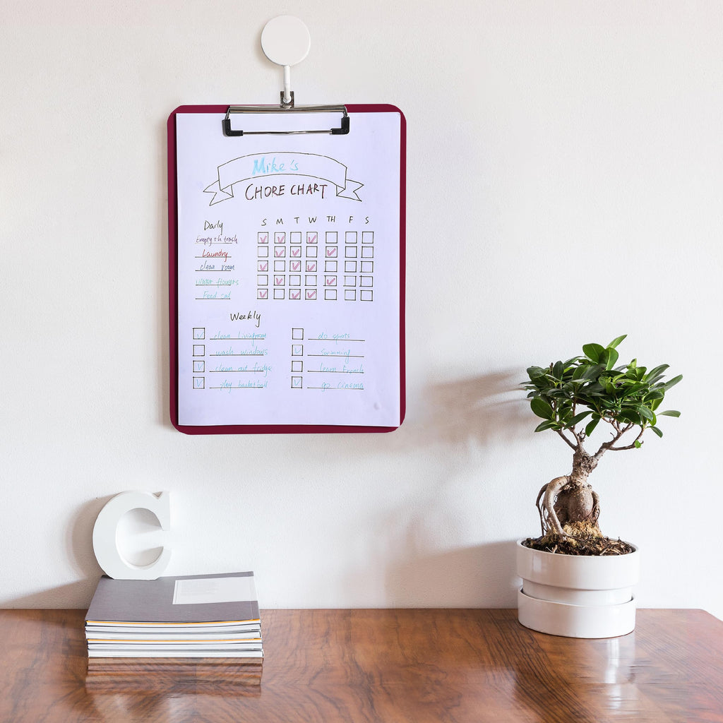 Plastic Clipboard 12.5 x 9 in 2-Pack Red, Clipboards for Kids & Adults