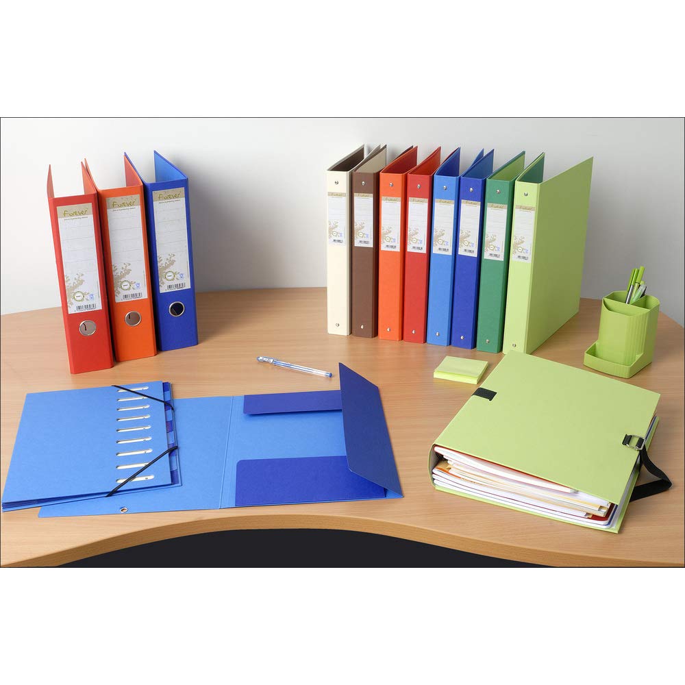 Rigid Ring Binder Forever A4 4 Rings Light Blue
